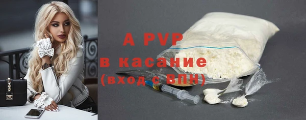прущие грибы Краснотурьинск