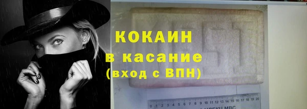 прущие грибы Краснотурьинск