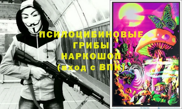 прущие грибы Краснотурьинск
