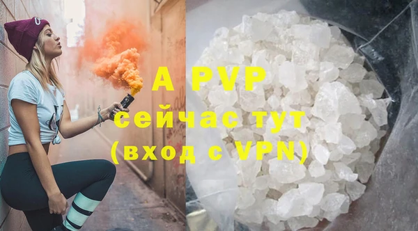 прущие грибы Краснотурьинск