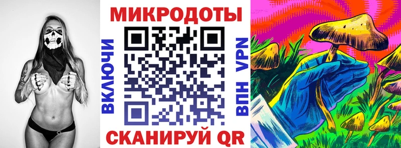 Псилоцибиновые грибы Psilocybe Азнакаево