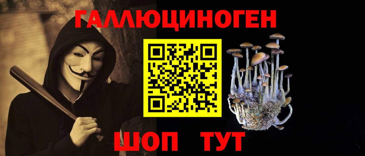 Галлюциногенные грибы Psilocybe  Вход с VPN  Азнакаево  Псилоцибиновые грибы Cubensis 